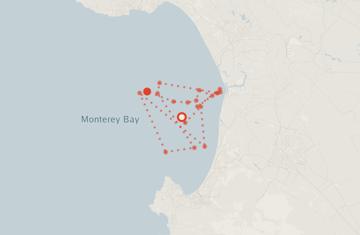 Activity map — real sighting points on an OpenStreetMap basemap