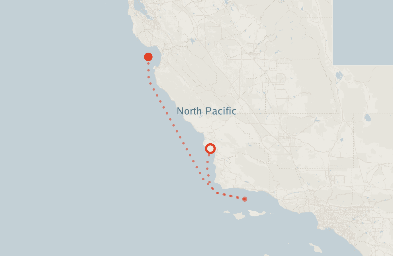 Activity map — real sighting points on an OpenStreetMap basemap