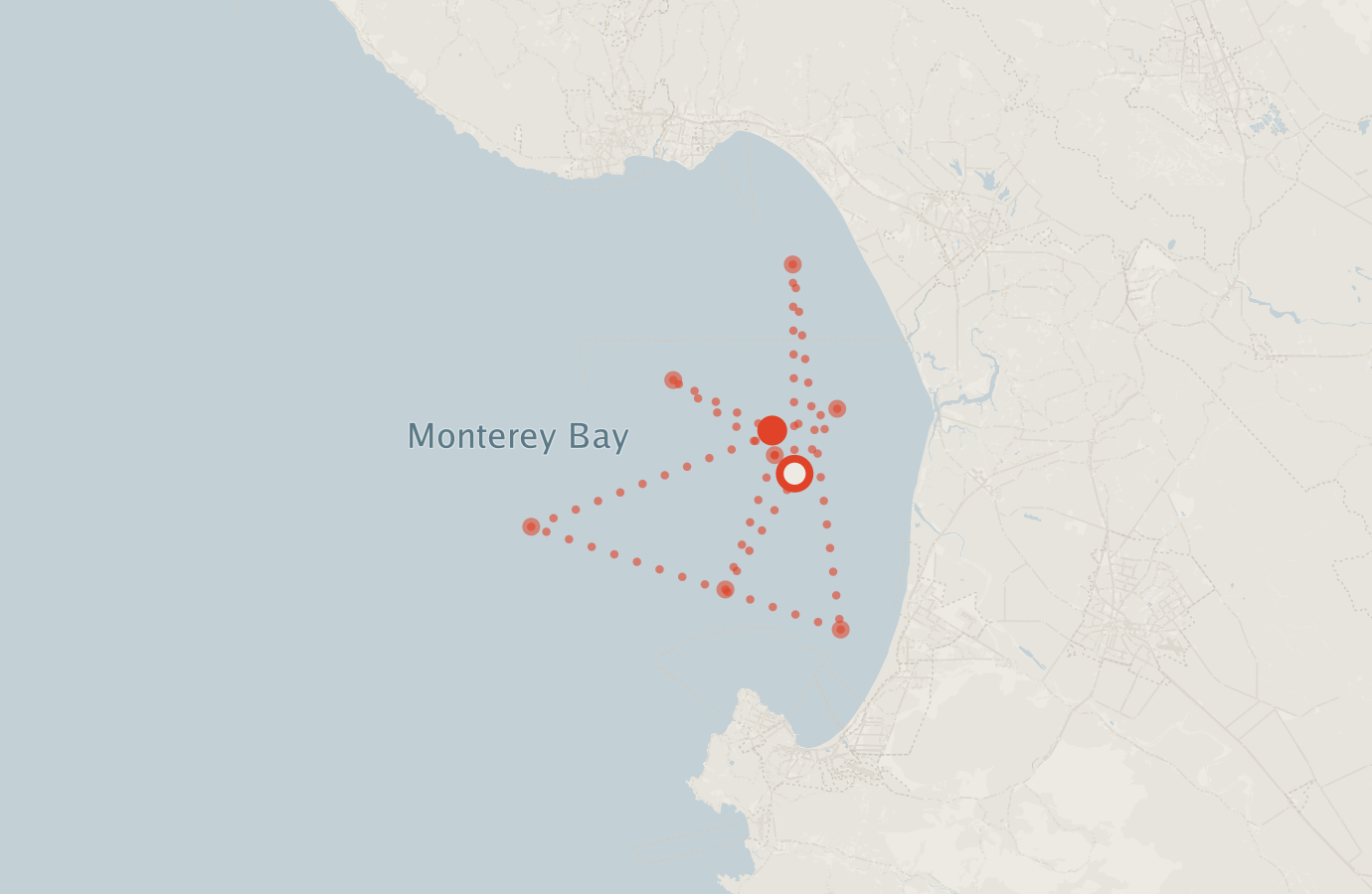 Activity map — real sighting points on an OpenStreetMap basemap