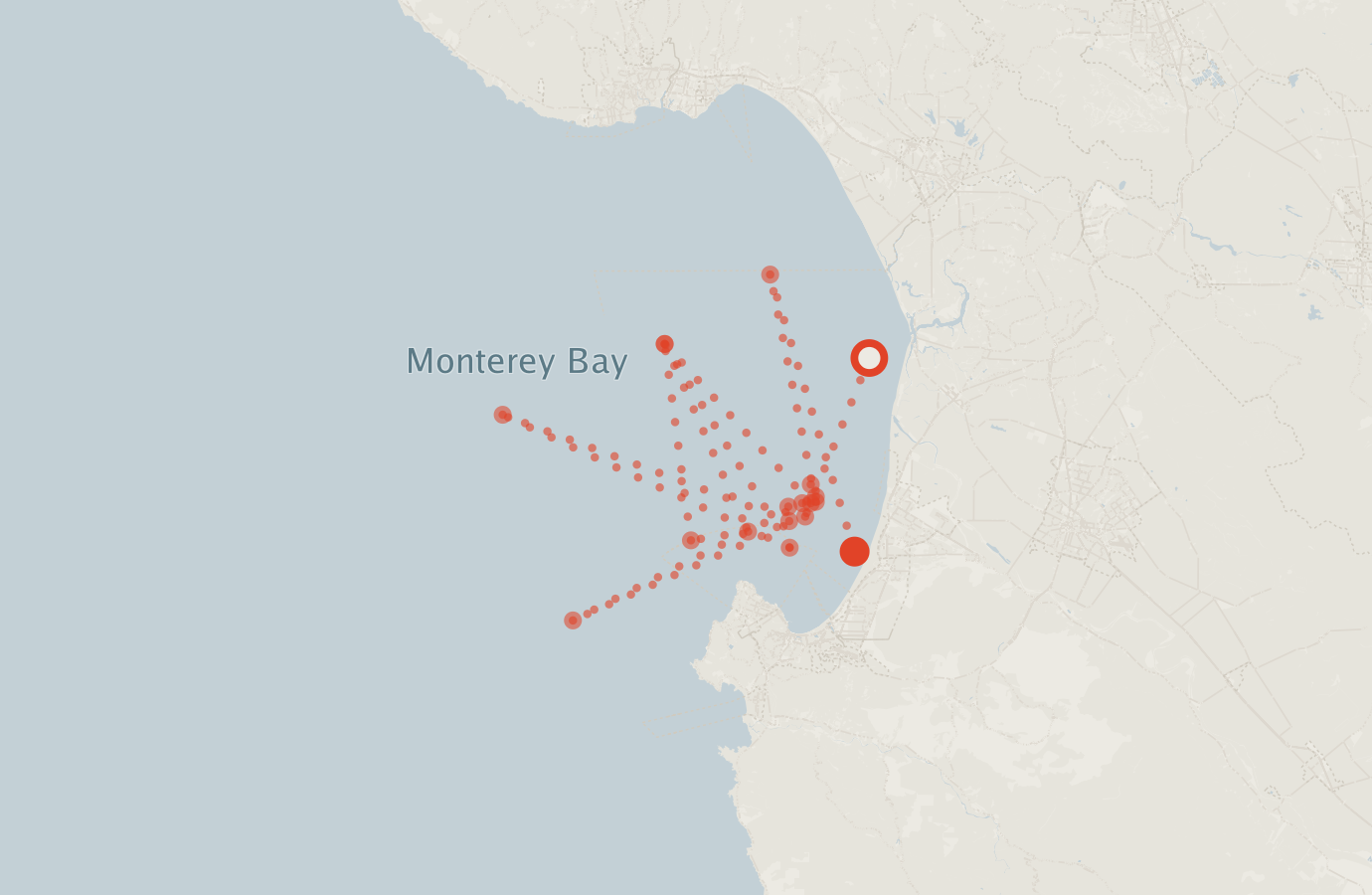 Activity map — real sighting points on an OpenStreetMap basemap