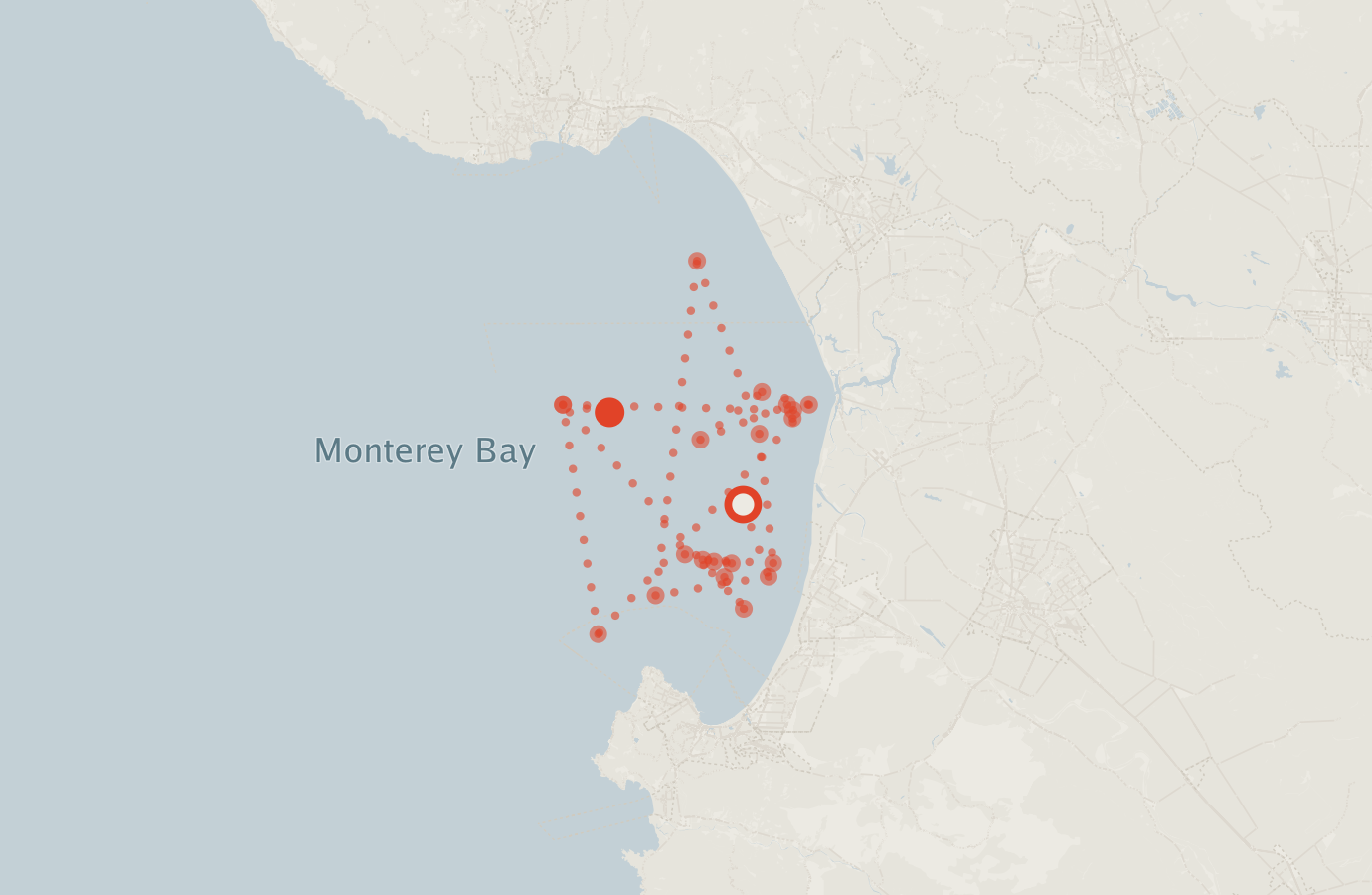 Activity map — real sighting points on an OpenStreetMap basemap