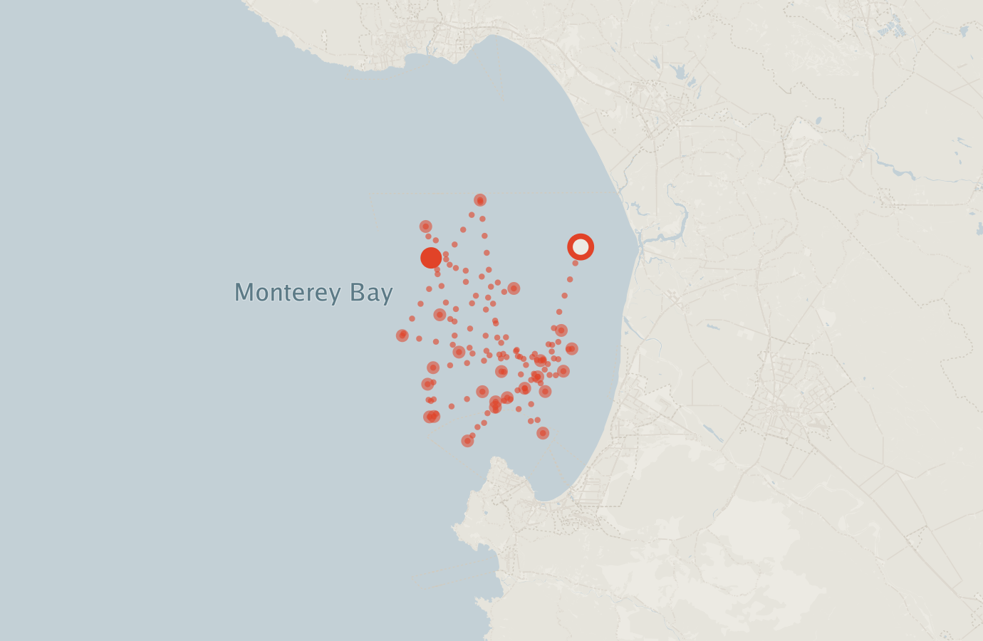 Activity map — real sighting points on an OpenStreetMap basemap