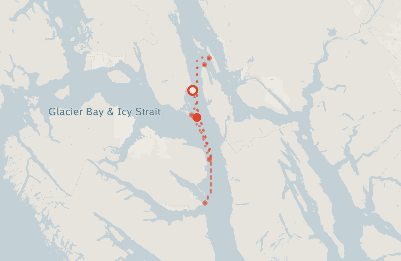 Activity map — real sighting points on an OpenStreetMap basemap