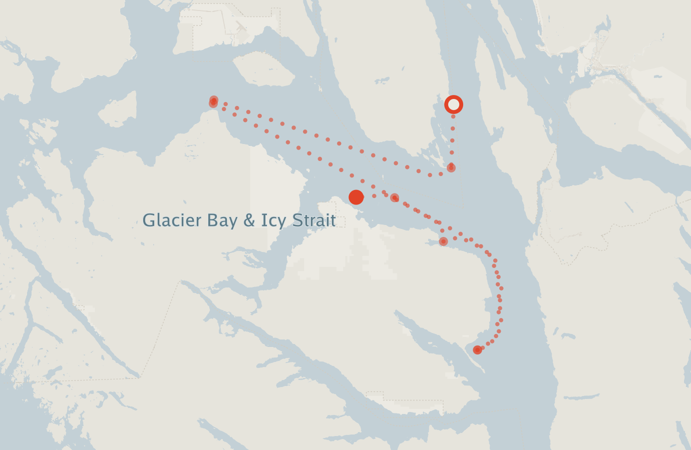 Activity map — real sighting points on an OpenStreetMap basemap