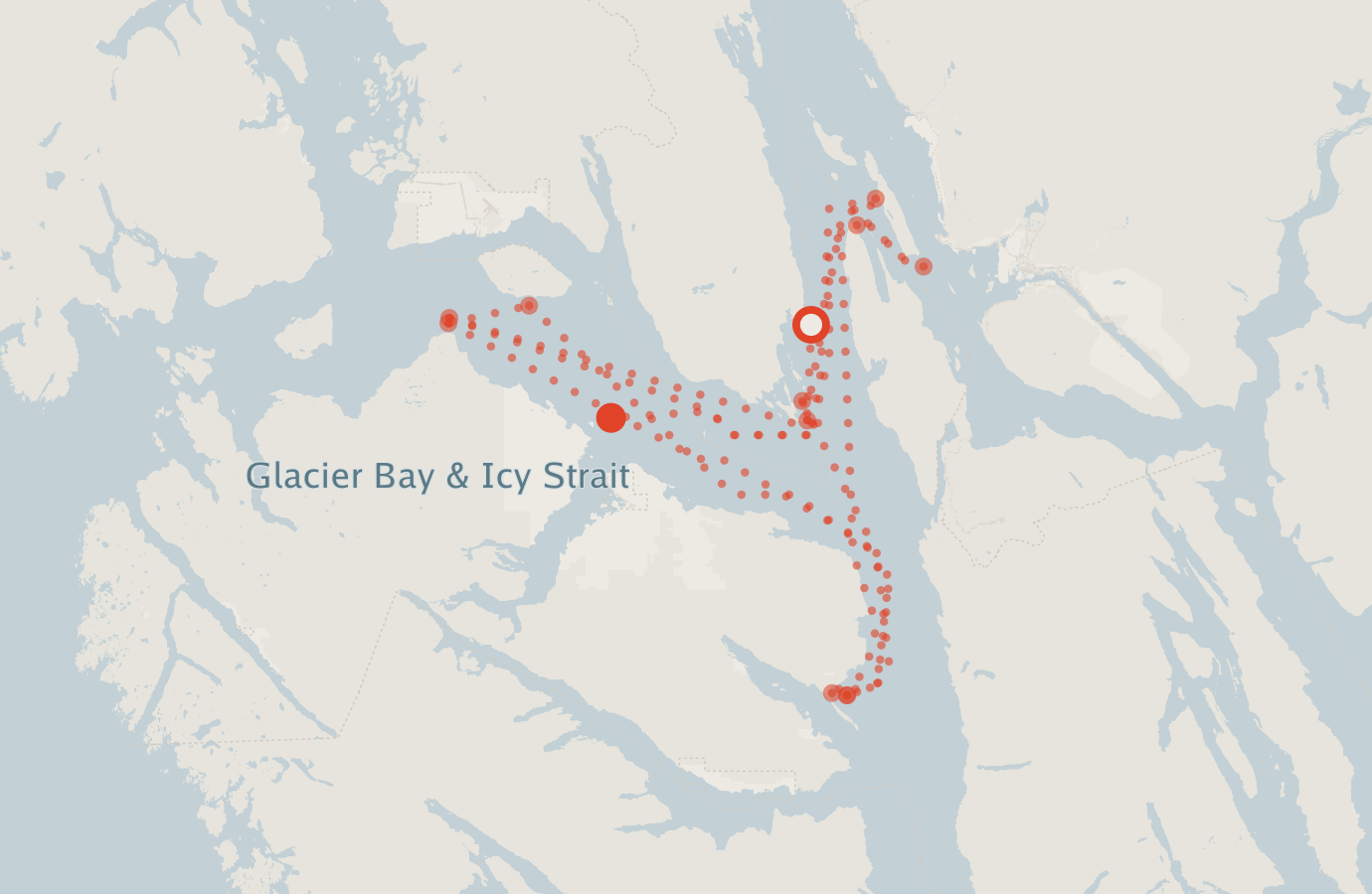 Activity map — real sighting points on an OpenStreetMap basemap