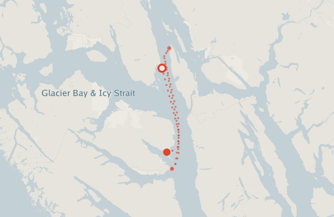 Activity map — real sighting points on an OpenStreetMap basemap