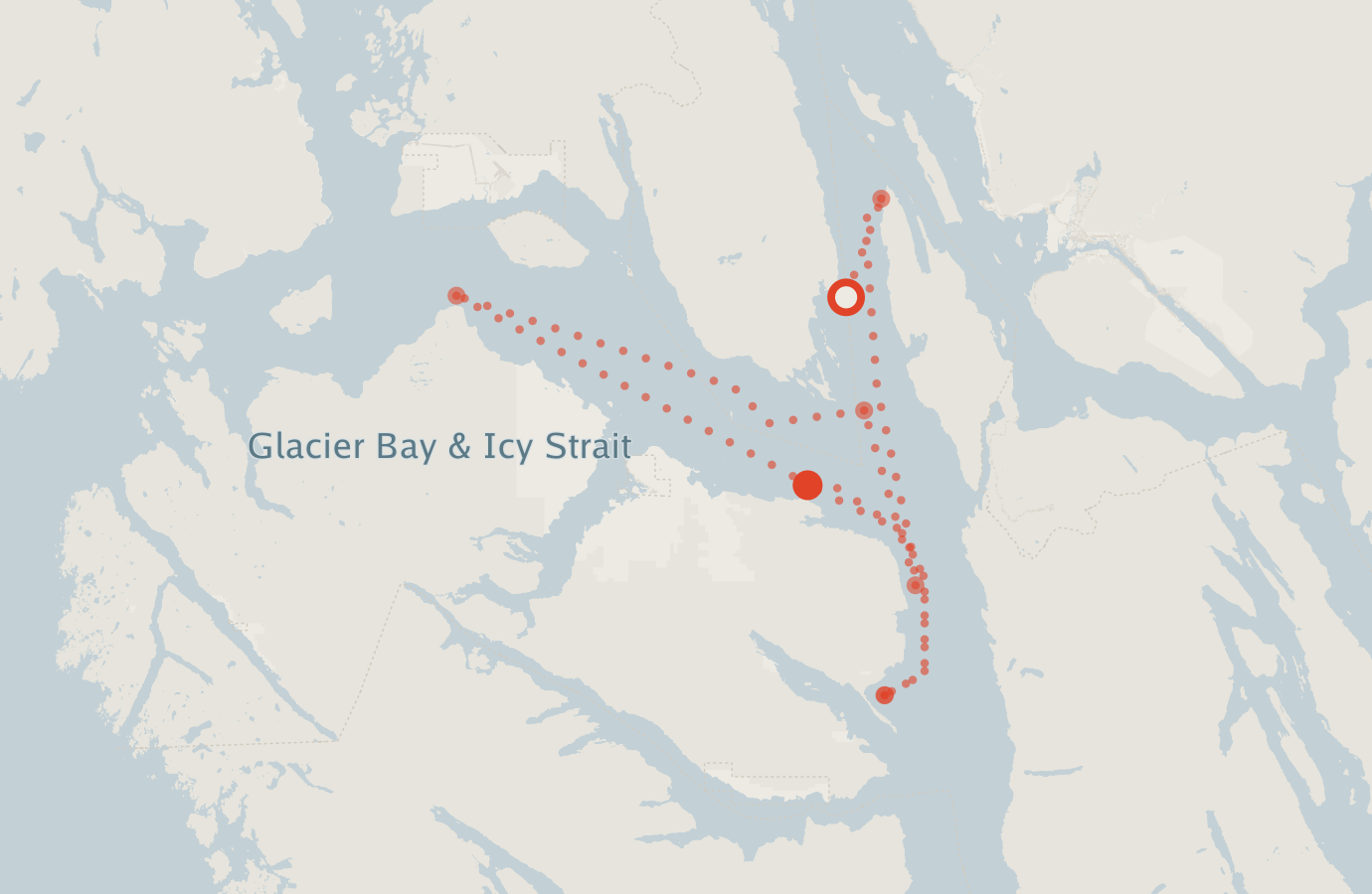 Activity map — real sighting points on an OpenStreetMap basemap
