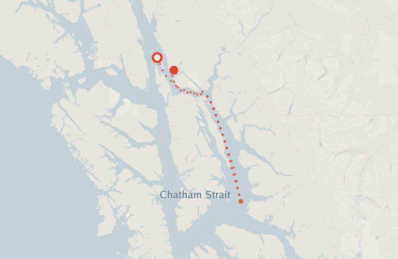 Activity map — real sighting points on an OpenStreetMap basemap