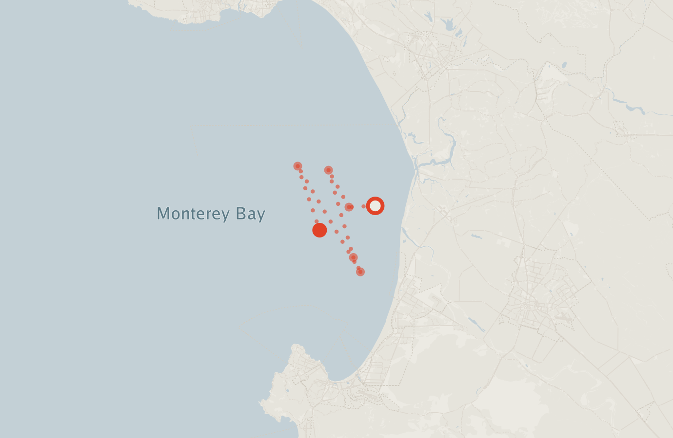 Activity map — real sighting points on an OpenStreetMap basemap