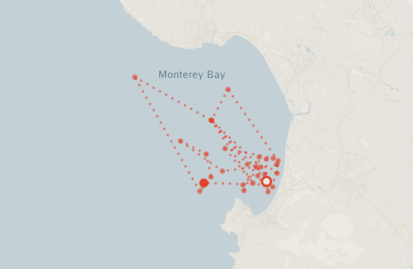 Activity map — real sighting points on an OpenStreetMap basemap
