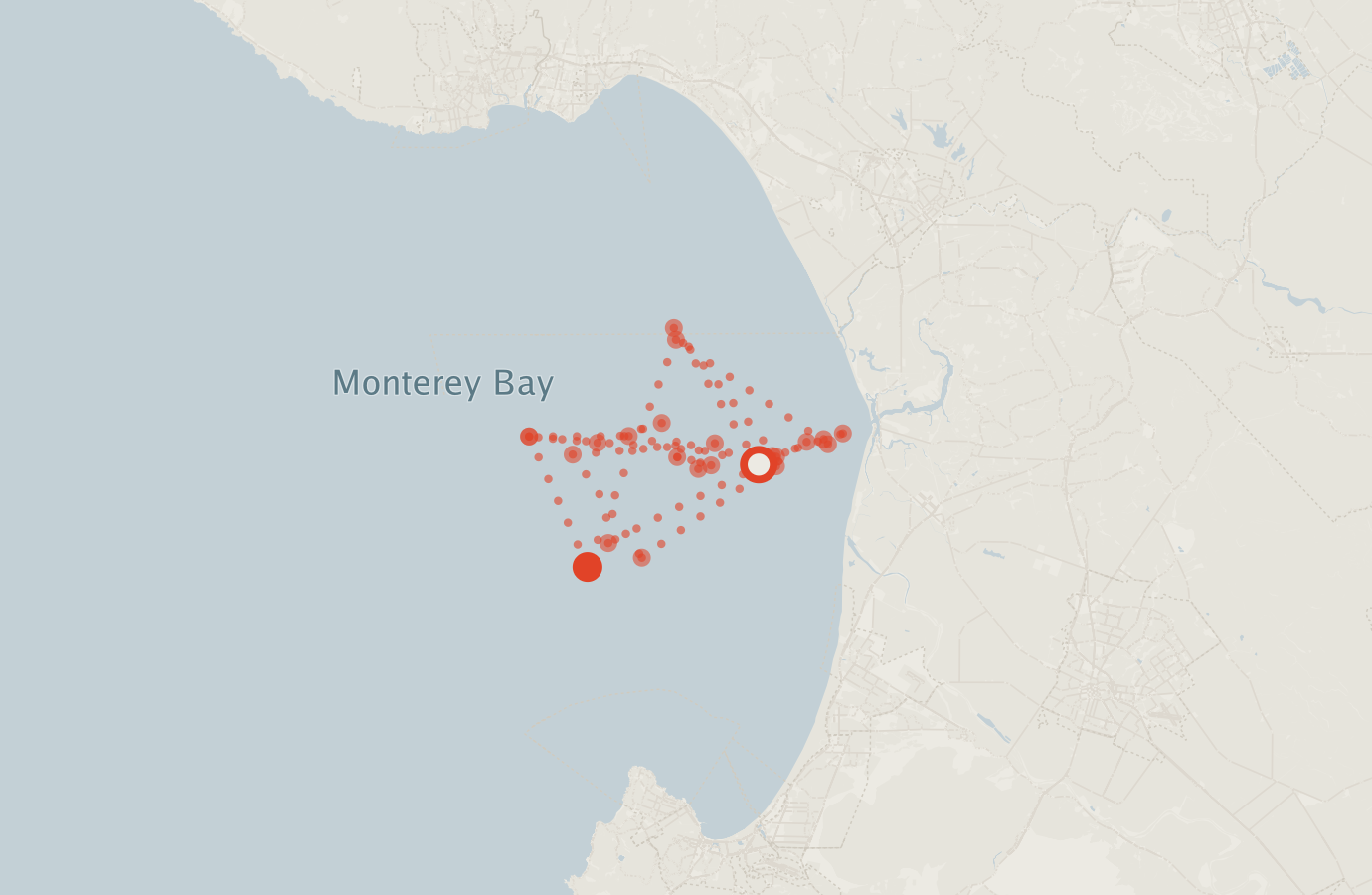 Activity map — real sighting points on an OpenStreetMap basemap