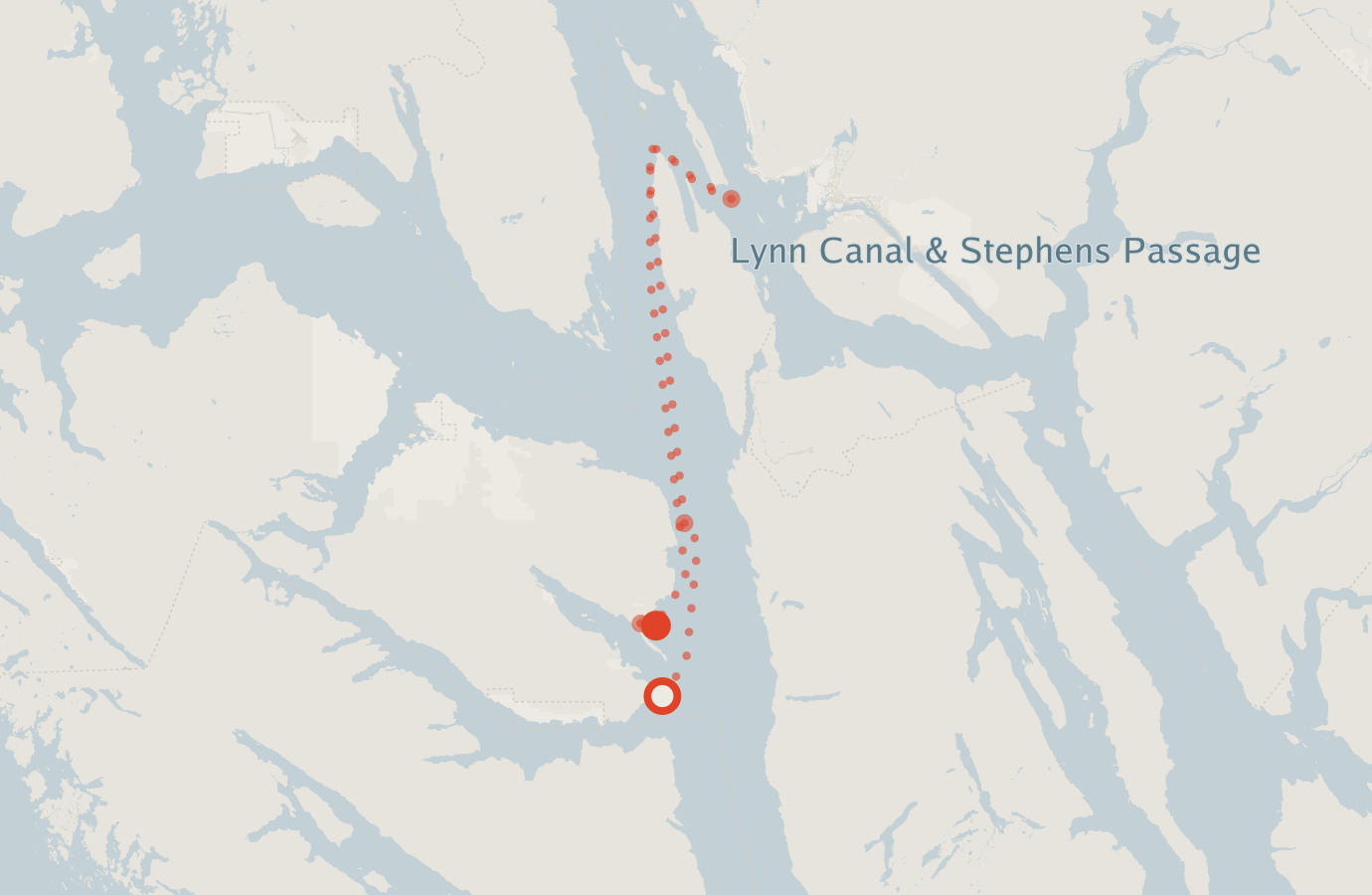 Activity map — real sighting points on an OpenStreetMap basemap