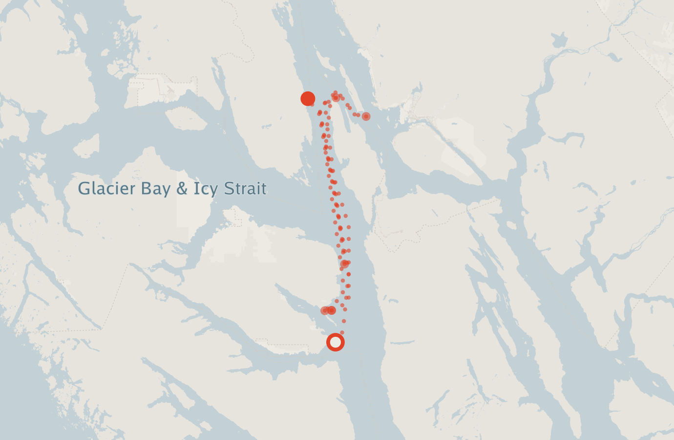 Activity map — real sighting points on an OpenStreetMap basemap