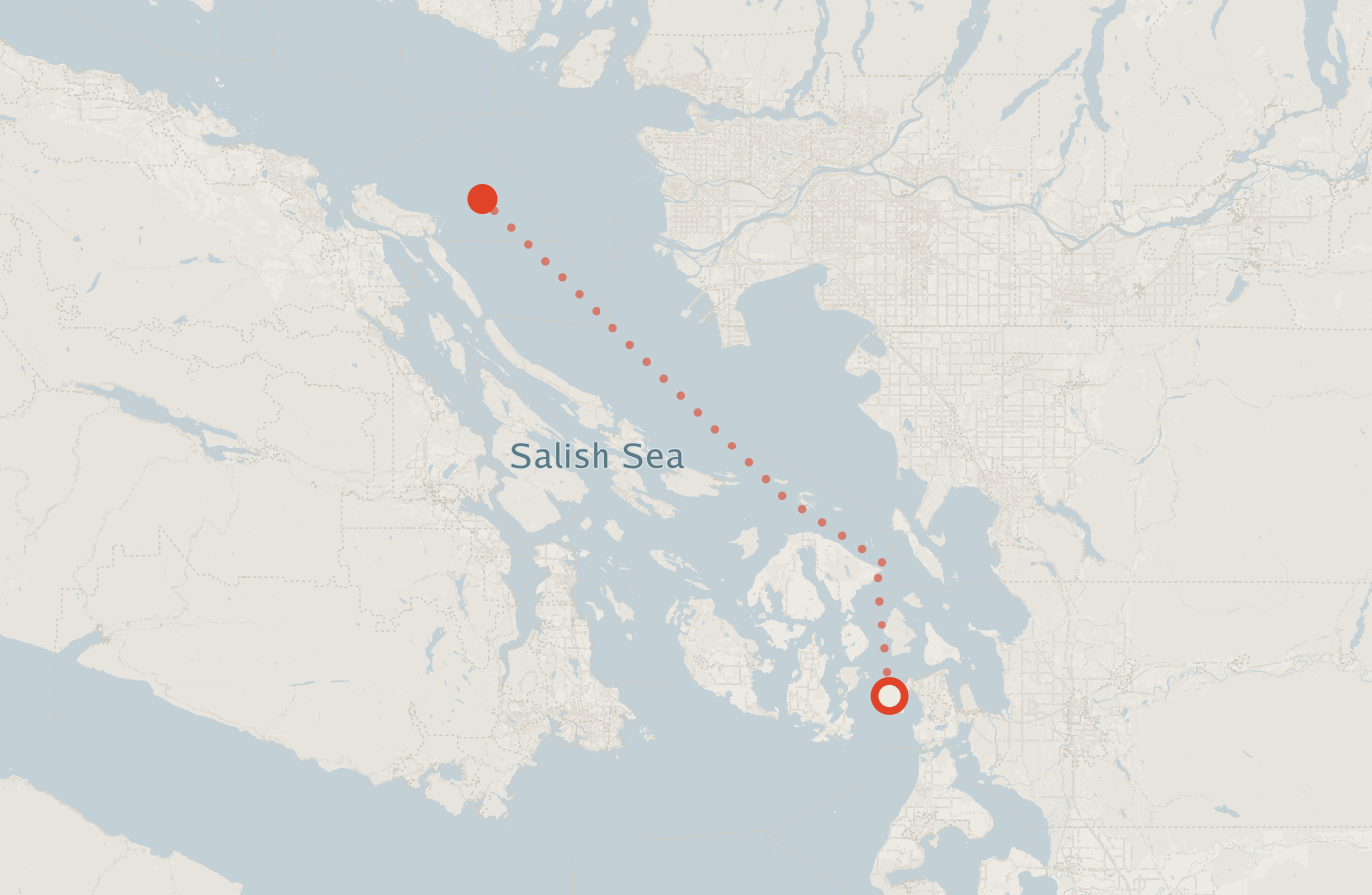 Activity map — real sighting points on an OpenStreetMap basemap