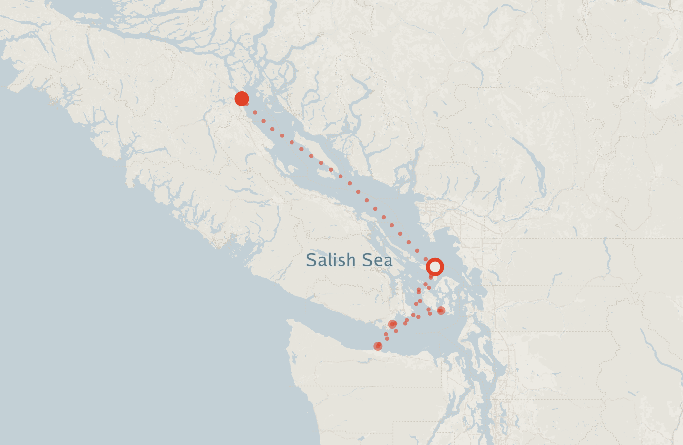 Activity map — real sighting points on an OpenStreetMap basemap