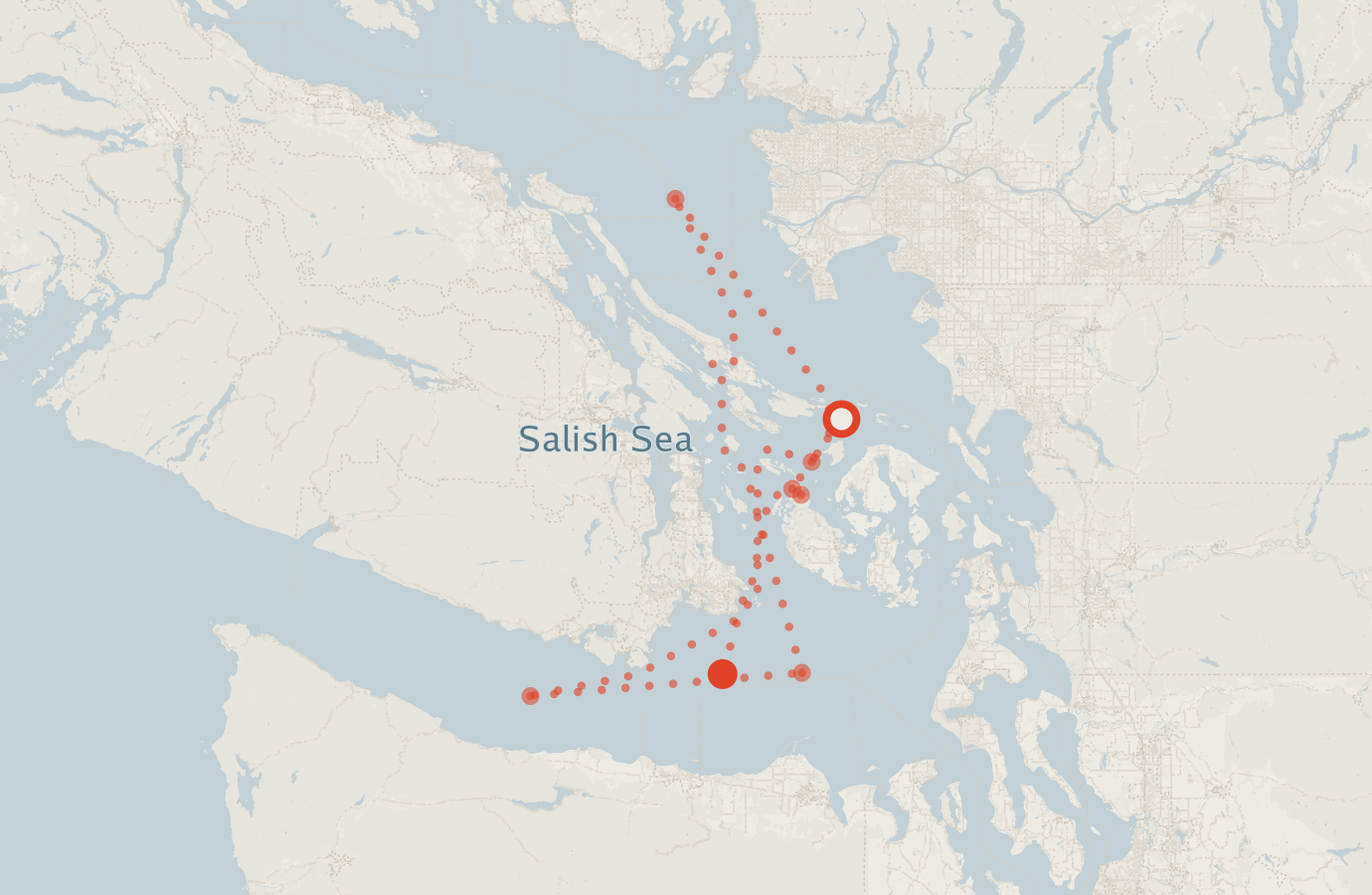 Activity map — real sighting points on an OpenStreetMap basemap