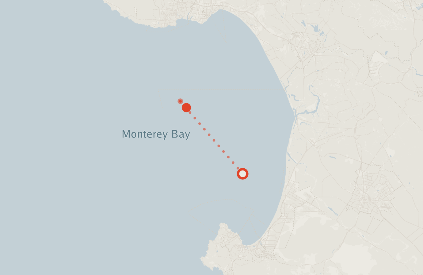 Activity map — real sighting points on an OpenStreetMap basemap