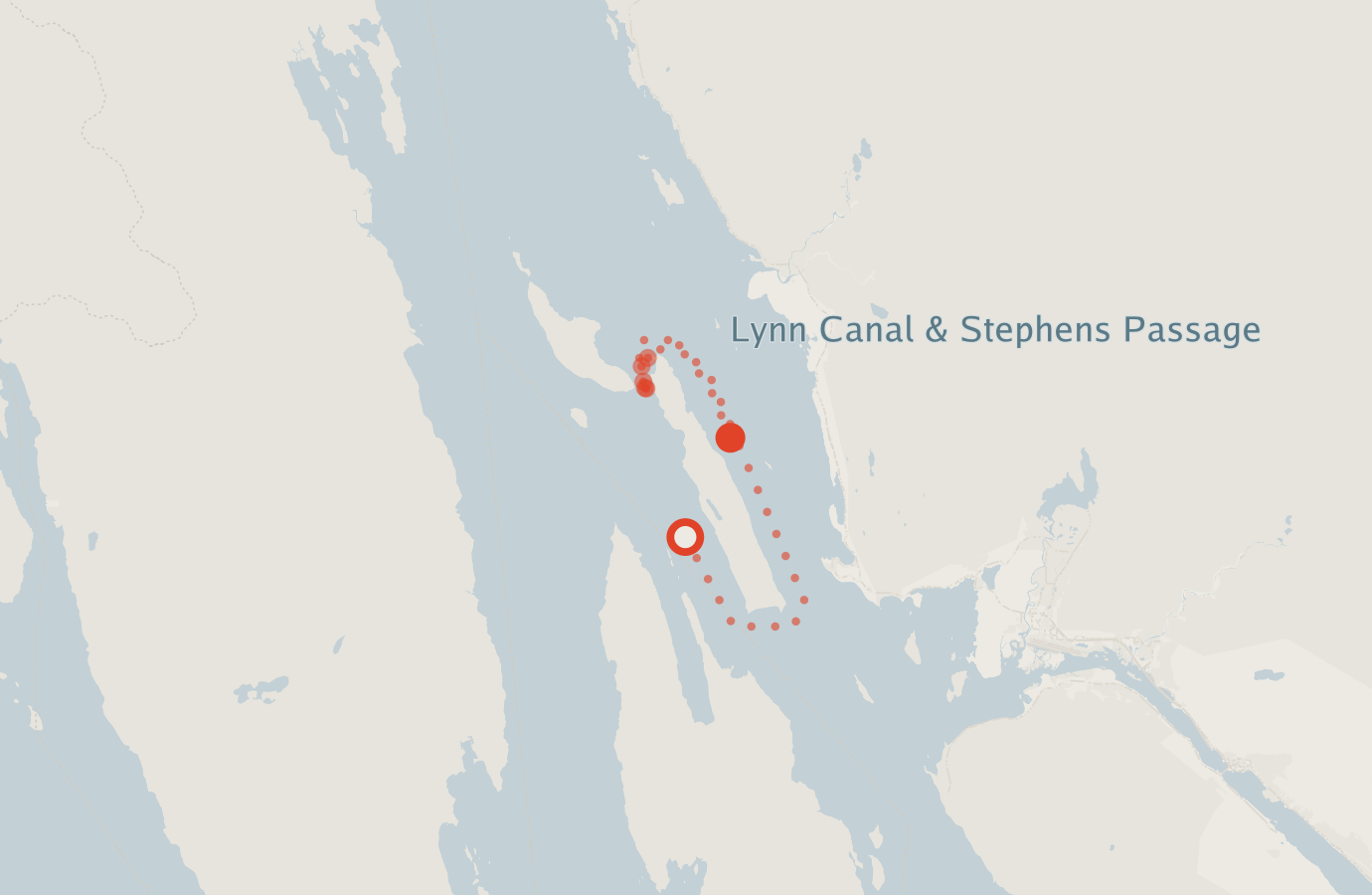 Activity map — real sighting points on an OpenStreetMap basemap