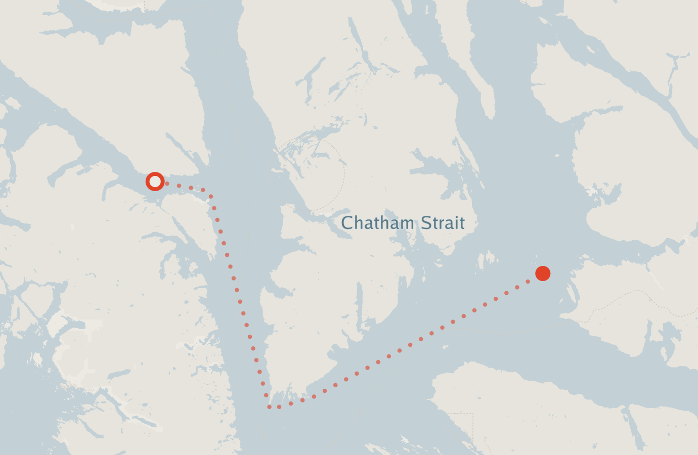Activity map — real sighting points on an OpenStreetMap basemap