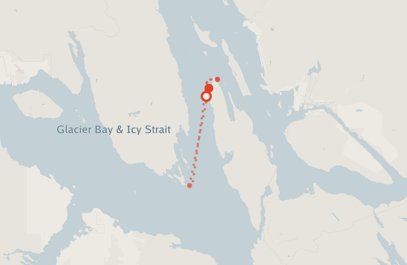 Activity map — real sighting points on an OpenStreetMap basemap