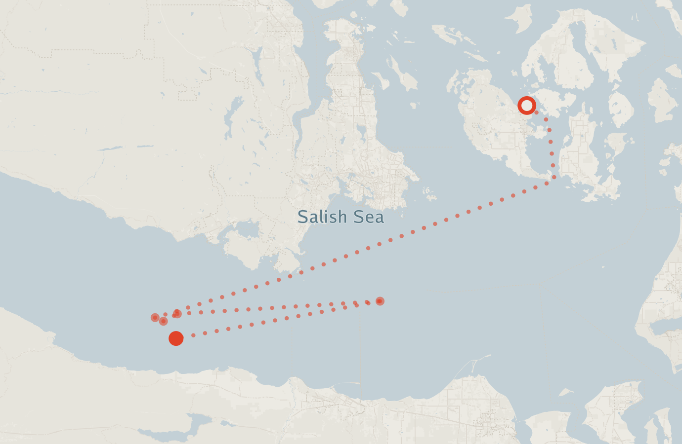 Activity map — real sighting points on an OpenStreetMap basemap