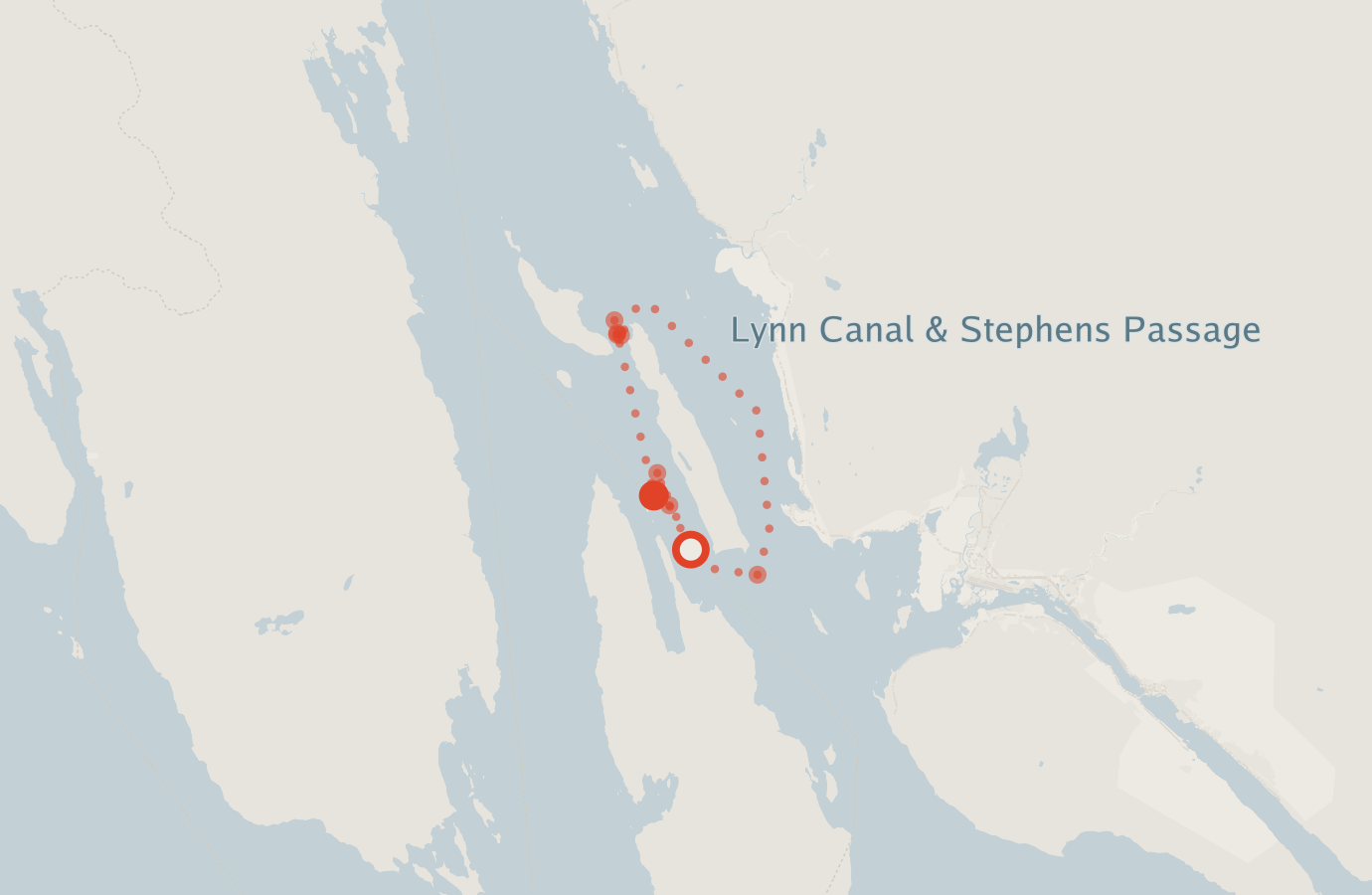 Activity map — real sighting points on an OpenStreetMap basemap