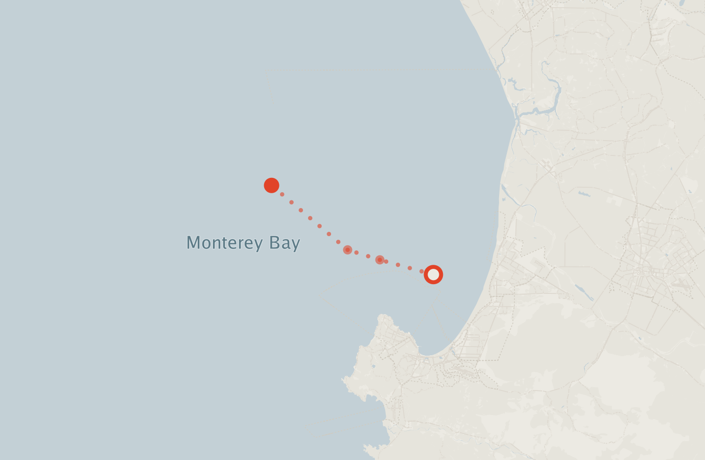 Activity map — real sighting points on an OpenStreetMap basemap