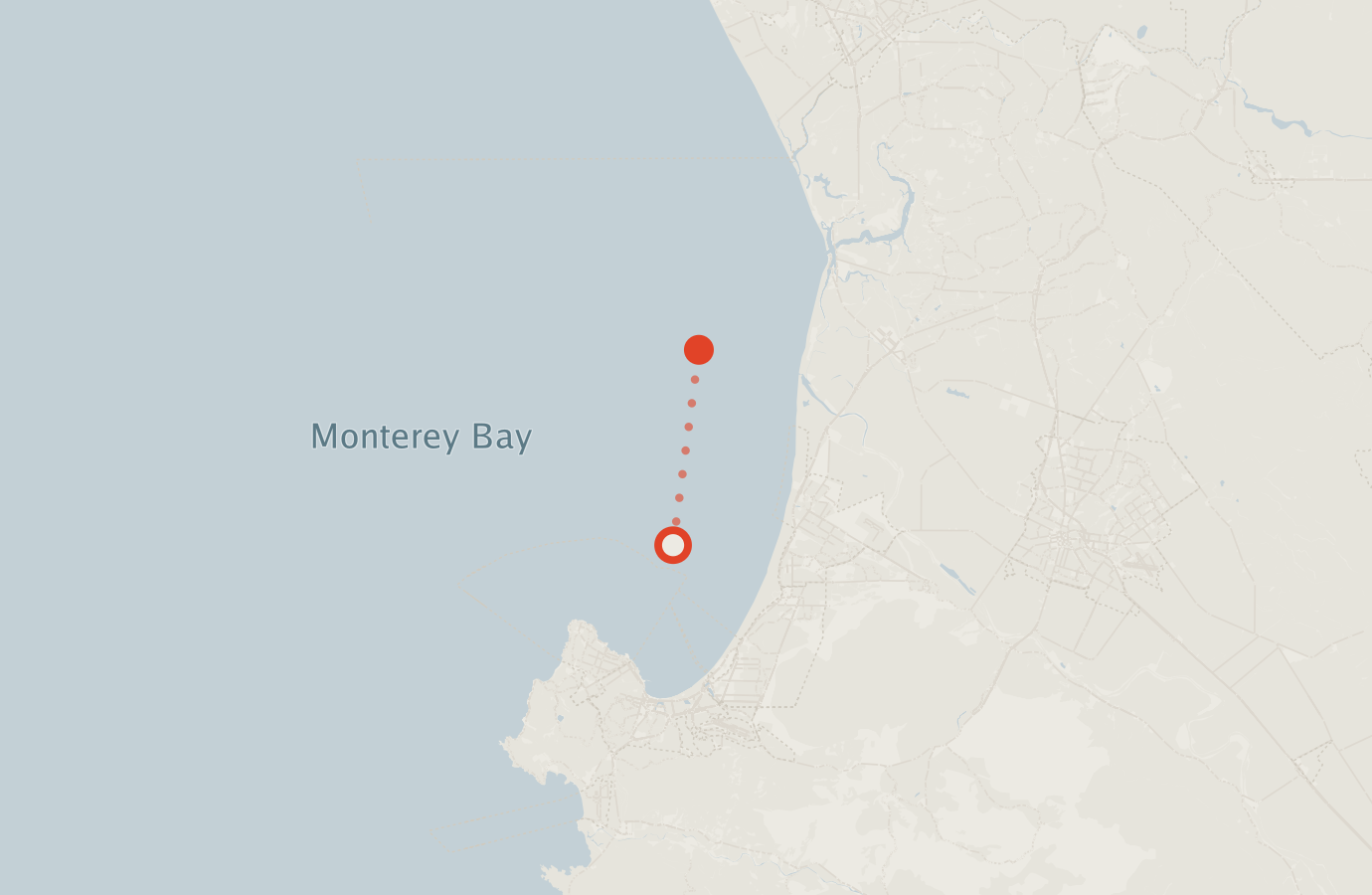 Activity map — real sighting points on an OpenStreetMap basemap