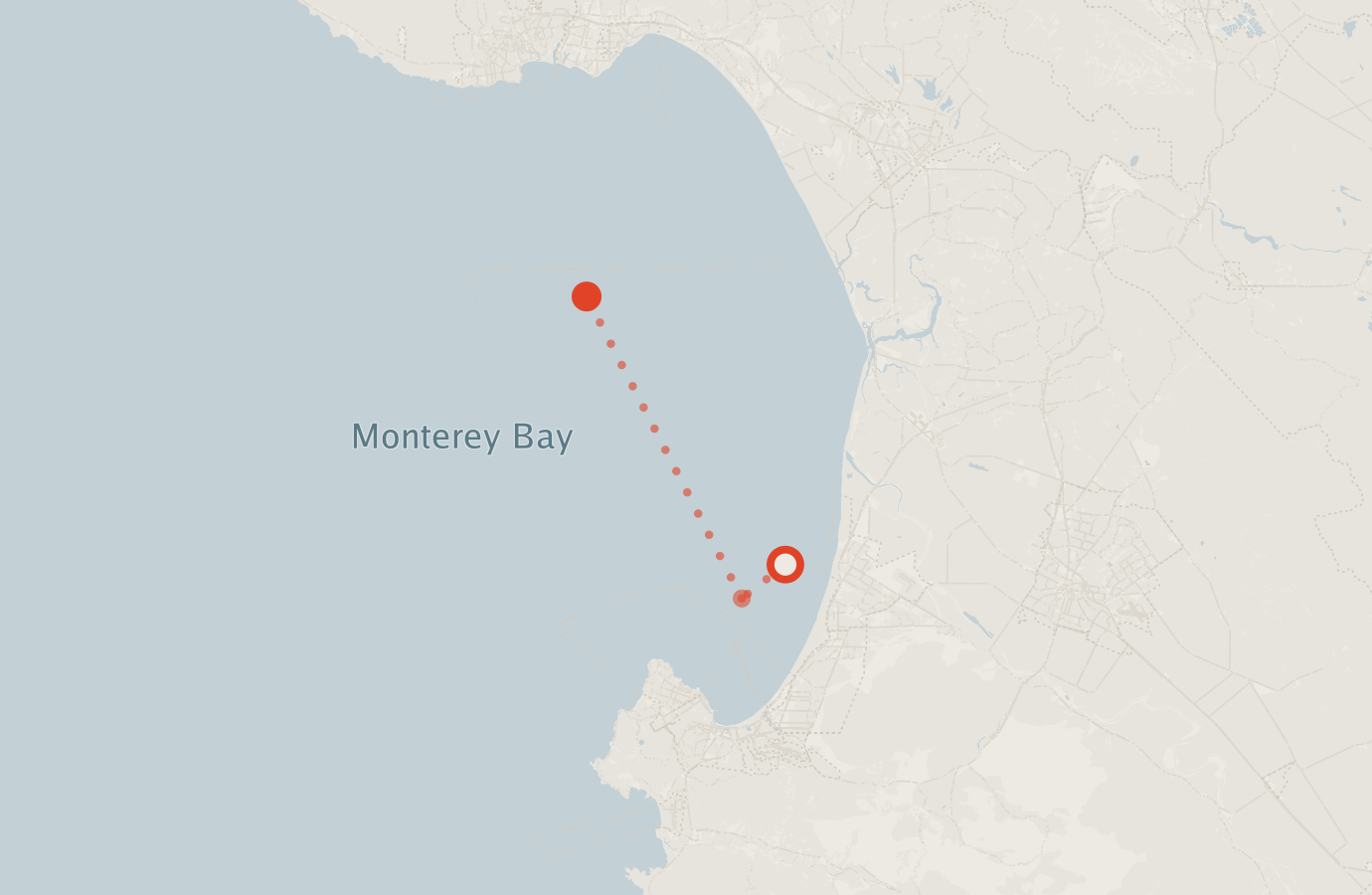 Activity map — real sighting points on an OpenStreetMap basemap