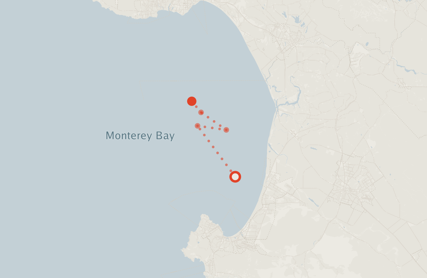 Activity map — real sighting points on an OpenStreetMap basemap