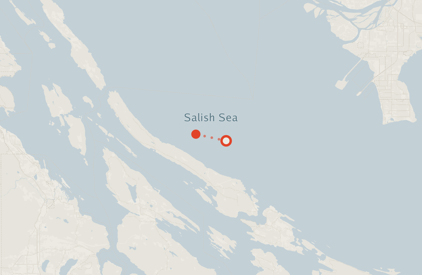 Activity map — real sighting points on an OpenStreetMap basemap