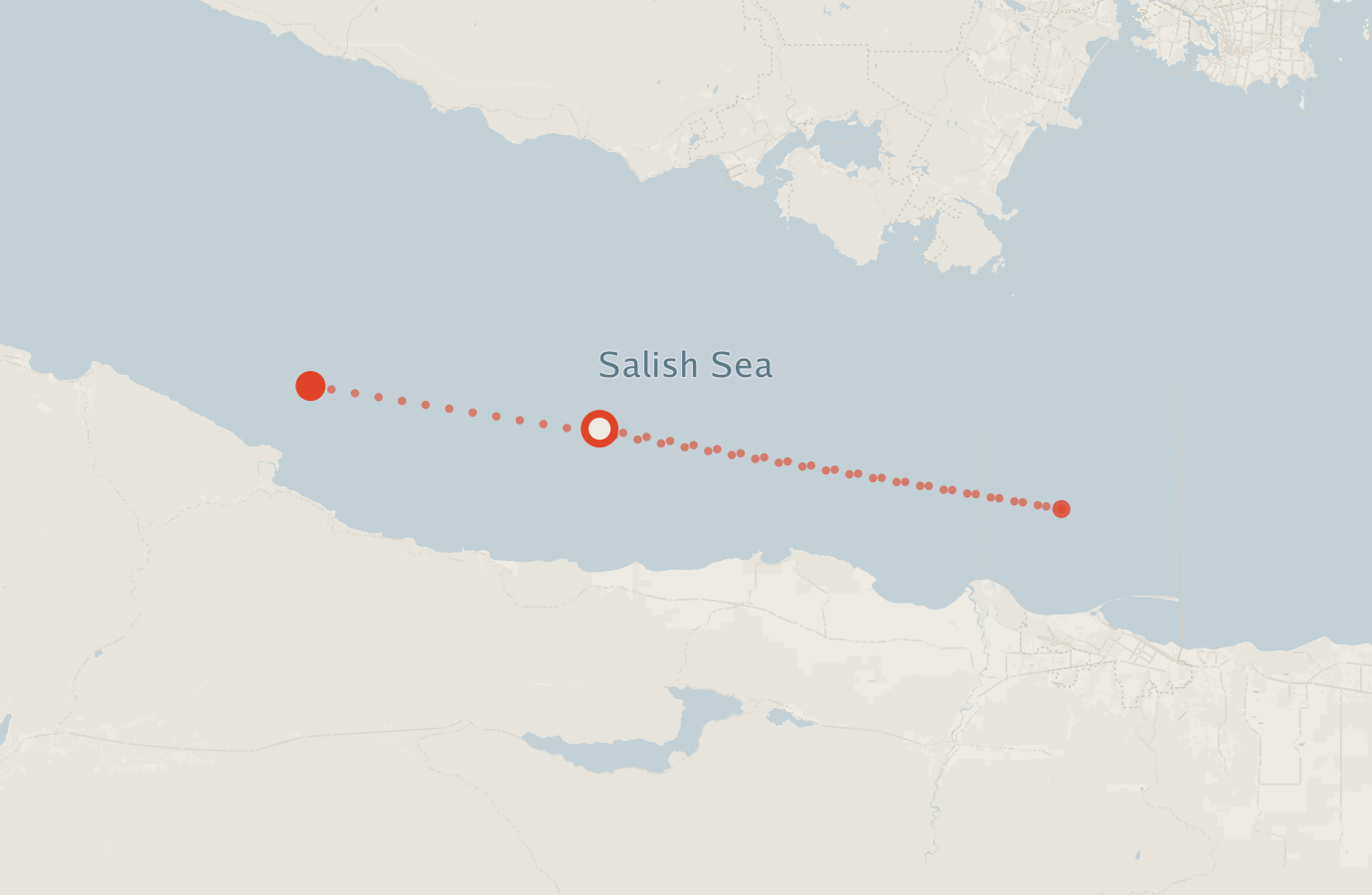 Activity map — real sighting points on an OpenStreetMap basemap