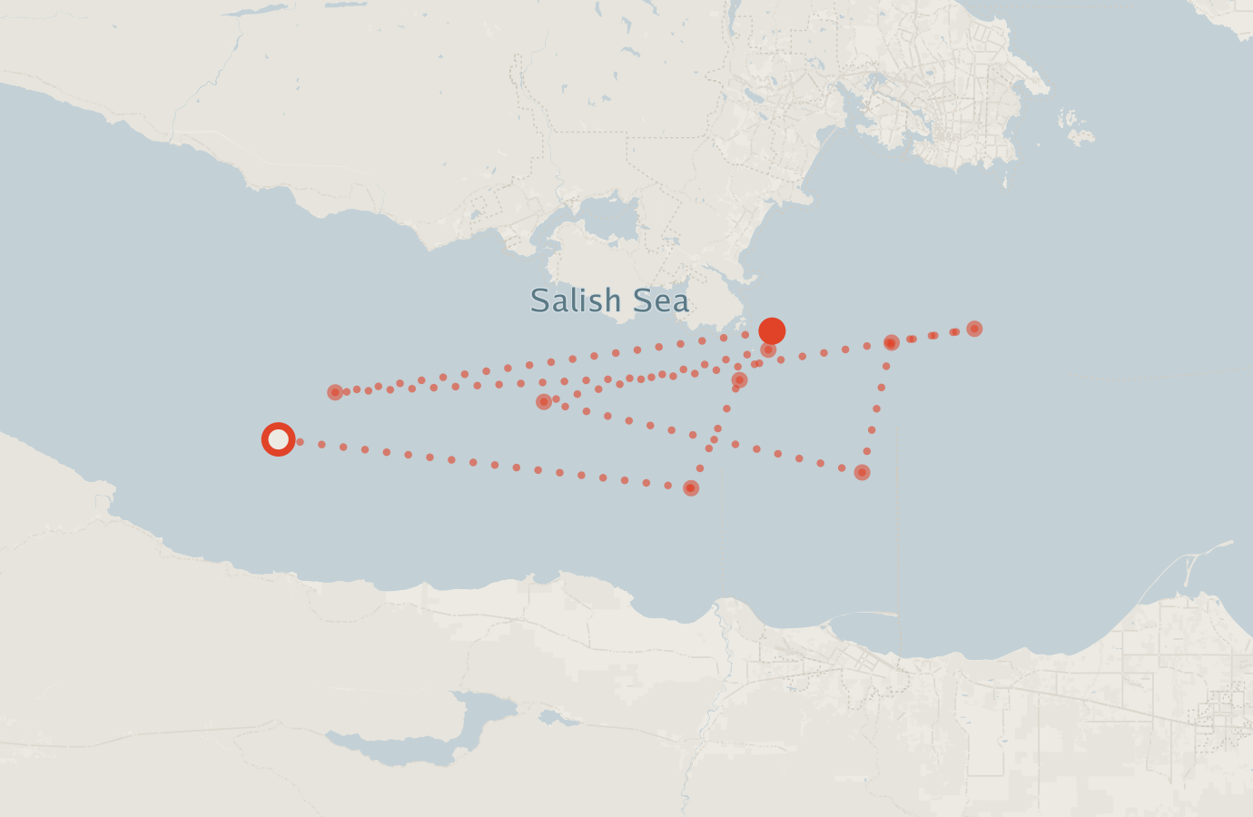 Activity map — real sighting points on an OpenStreetMap basemap