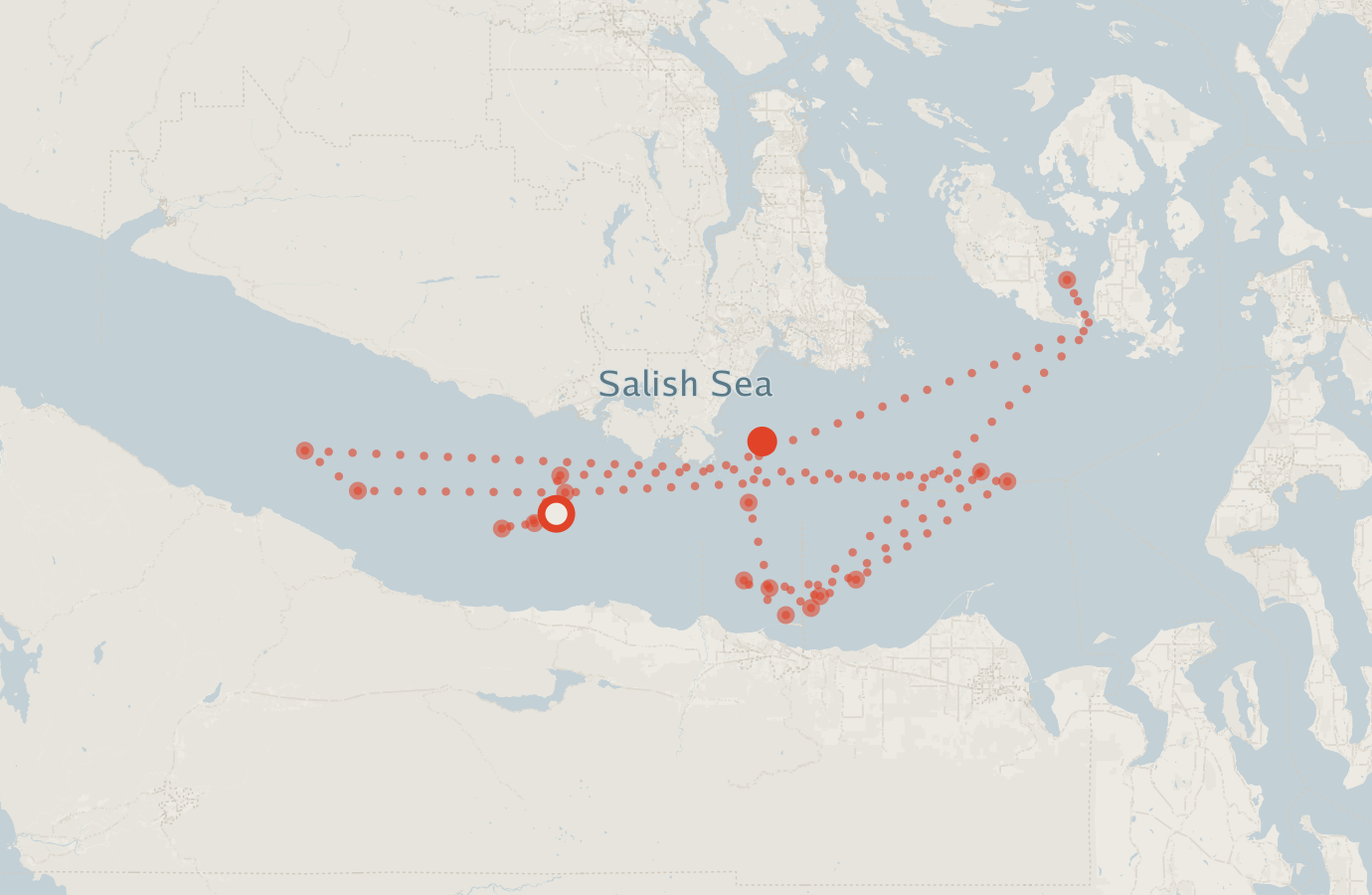 Activity map — real sighting points on an OpenStreetMap basemap