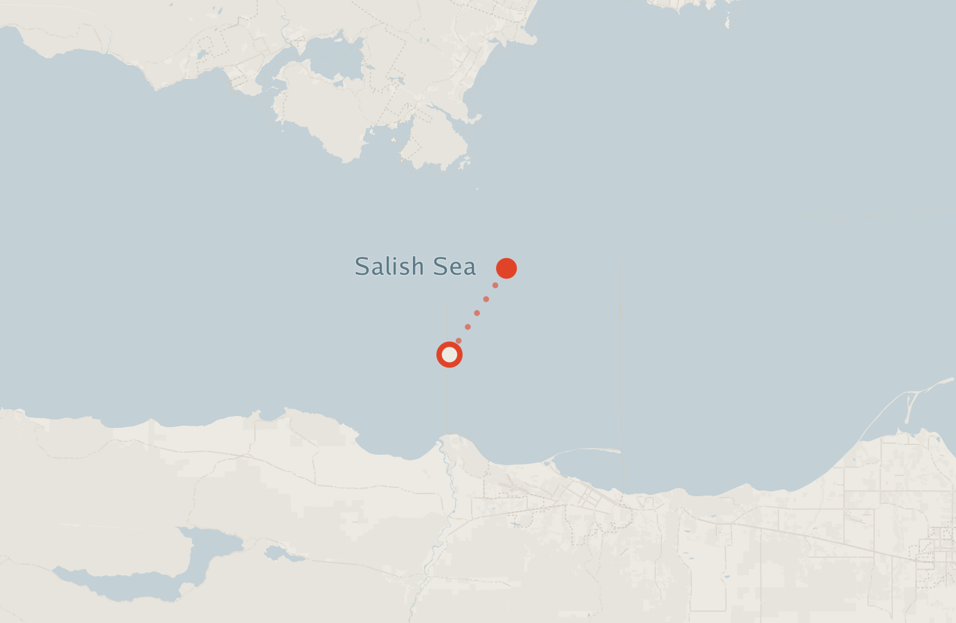 Activity map — real sighting points on an OpenStreetMap basemap