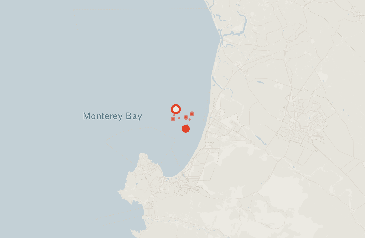 Activity map — real sighting points on an OpenStreetMap basemap