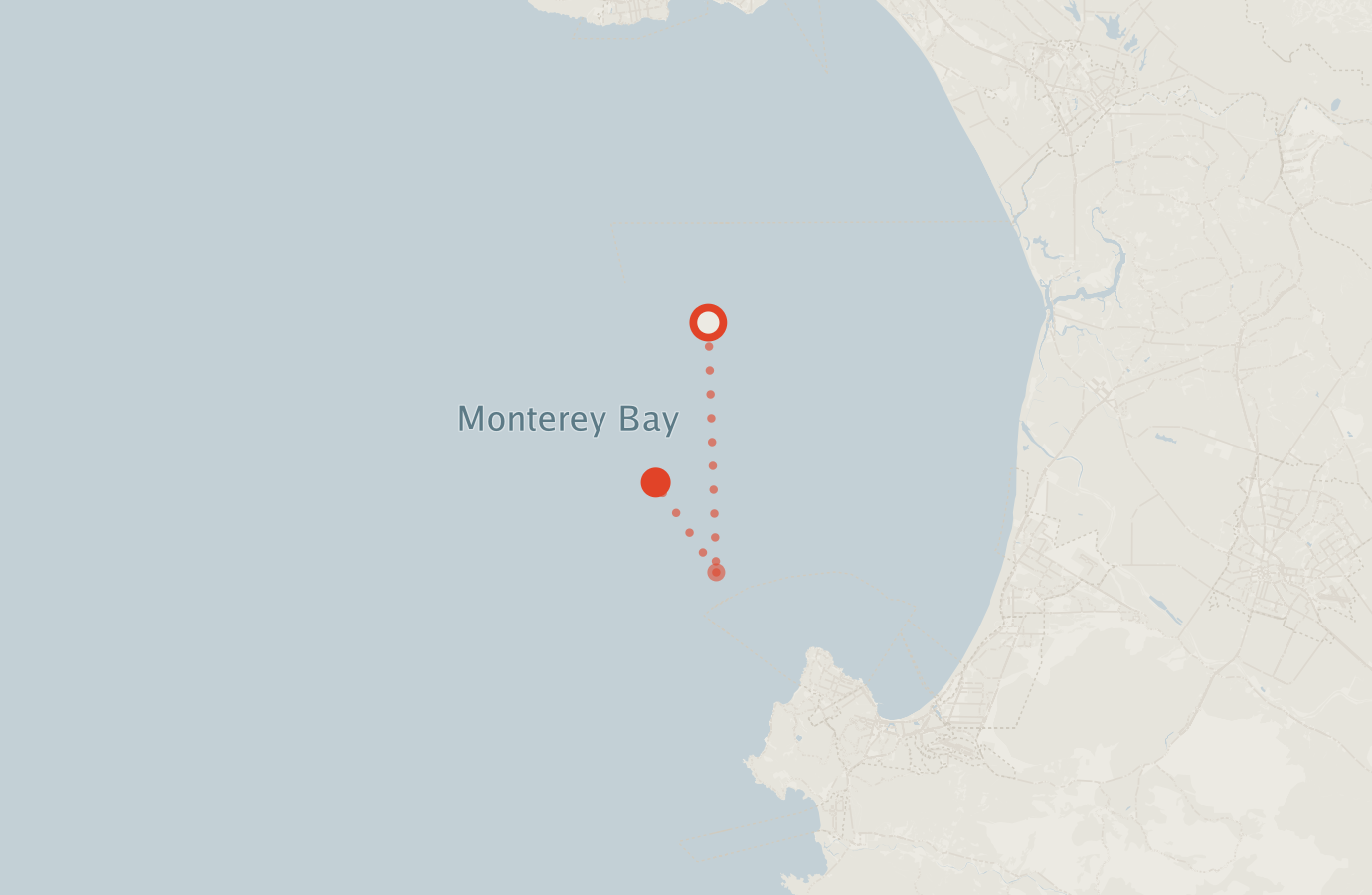 Activity map — real sighting points on an OpenStreetMap basemap