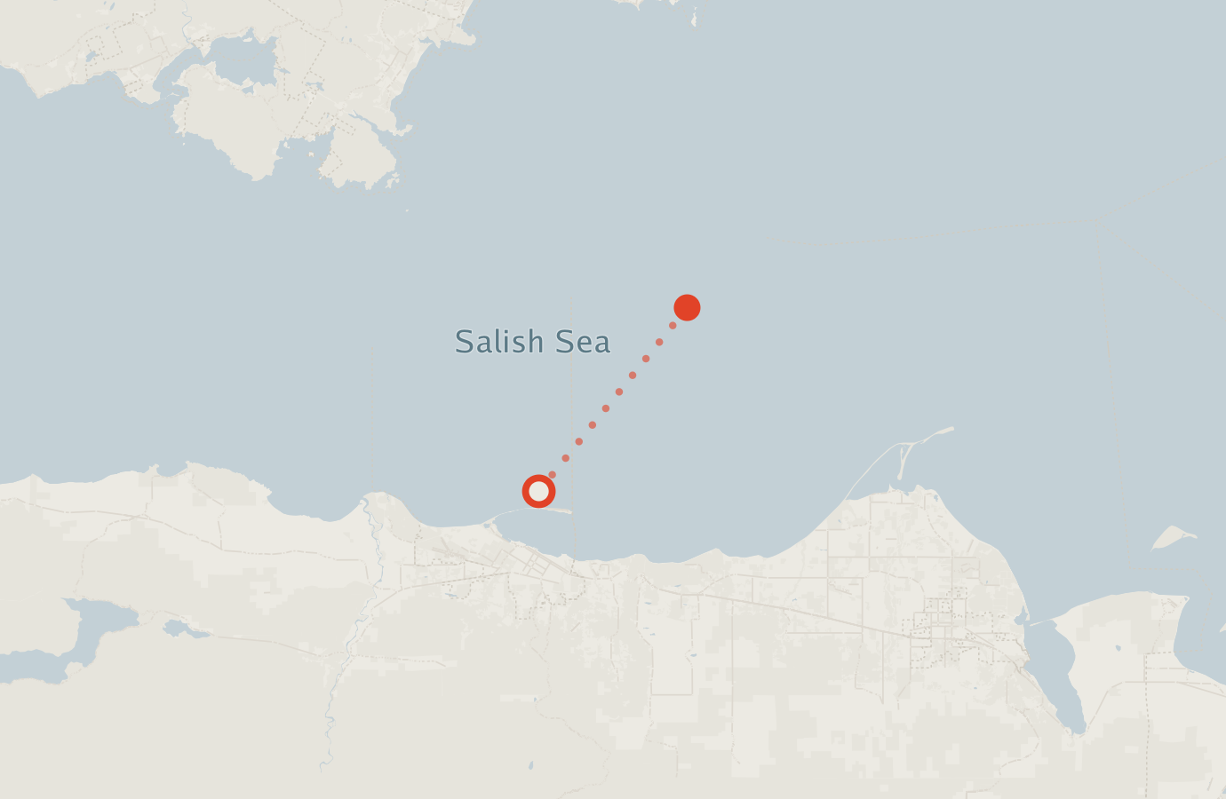 Activity map — real sighting points on an OpenStreetMap basemap