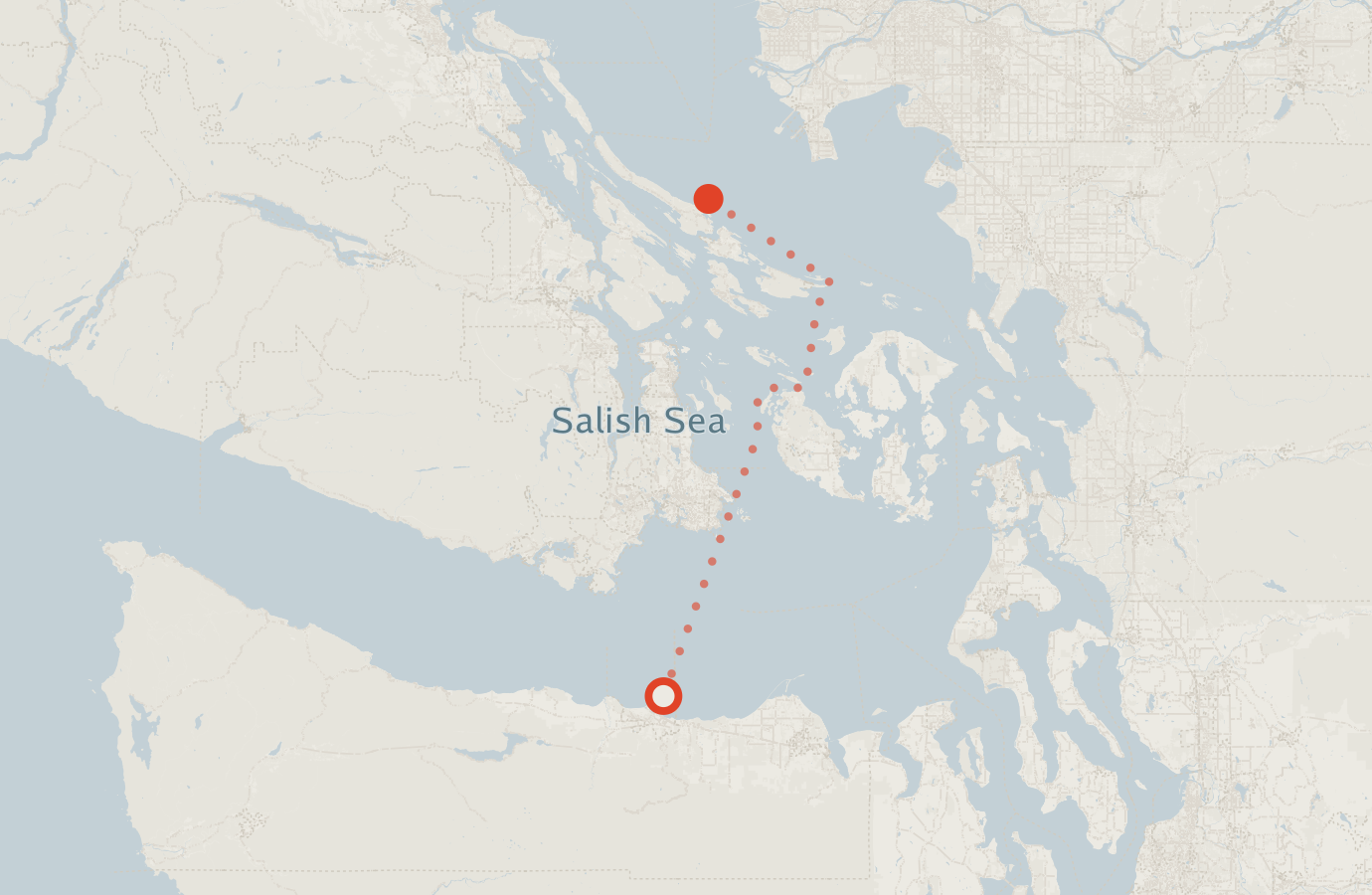 Activity map — real sighting points on an OpenStreetMap basemap
