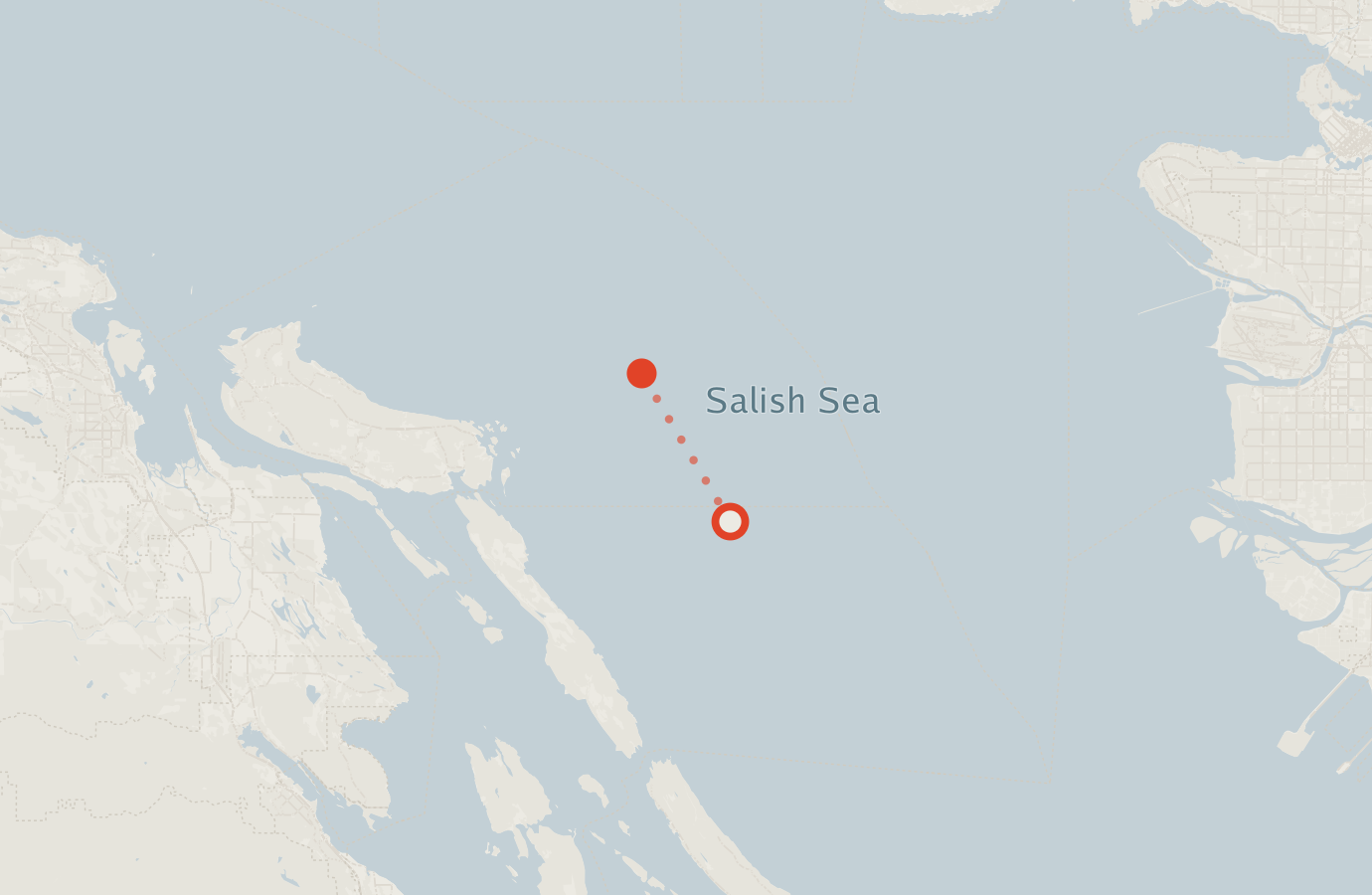 Activity map — real sighting points on an OpenStreetMap basemap