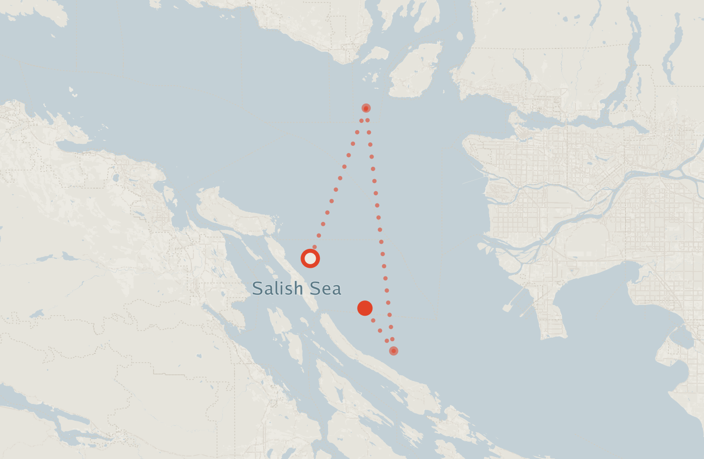 Activity map — real sighting points on an OpenStreetMap basemap