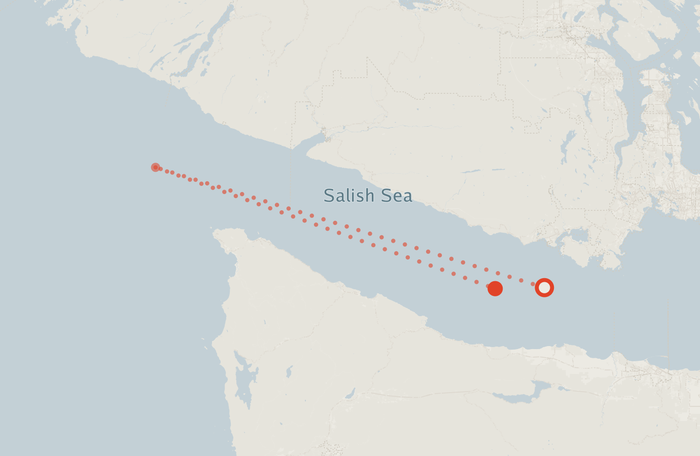 Activity map — real sighting points on an OpenStreetMap basemap