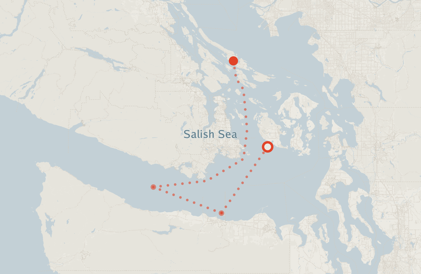Activity map — real sighting points on an OpenStreetMap basemap