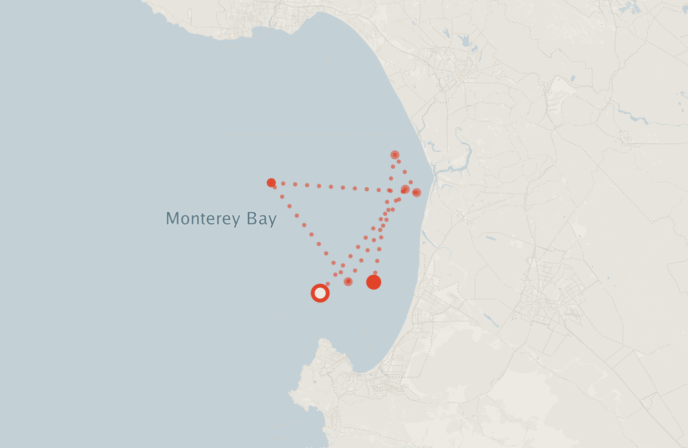 Activity map — real sighting points on an OpenStreetMap basemap