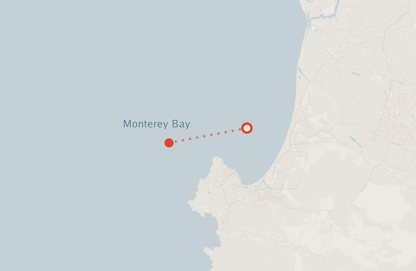 Activity map — real sighting points on an OpenStreetMap basemap