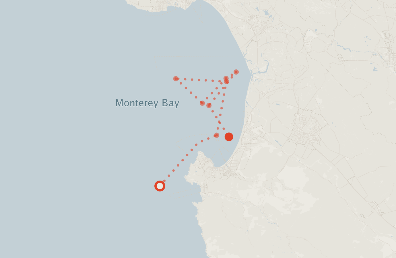 Activity map — real sighting points on an OpenStreetMap basemap