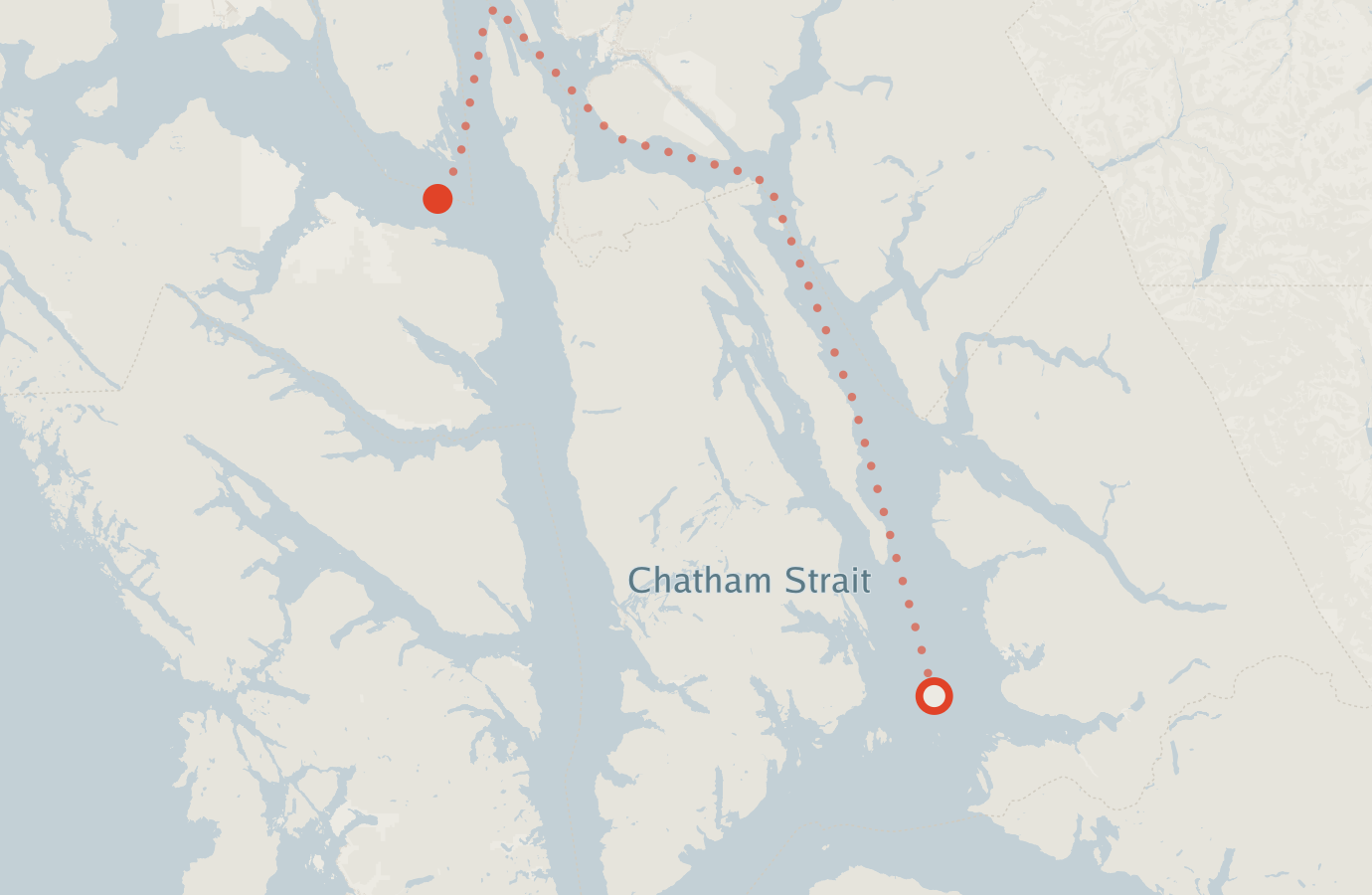 Activity map — real sighting points on an OpenStreetMap basemap