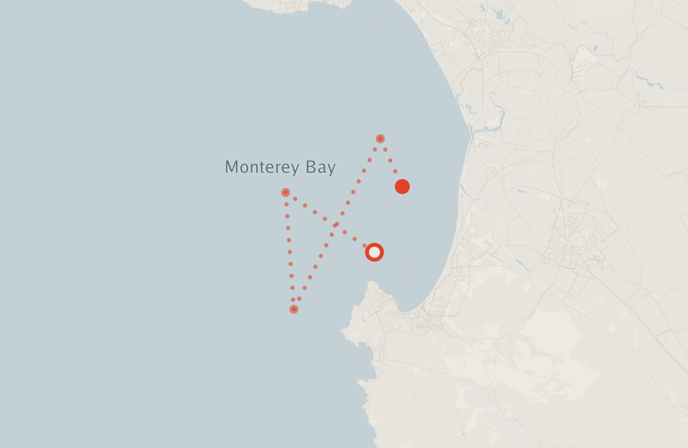 Activity map — real sighting points on an OpenStreetMap basemap