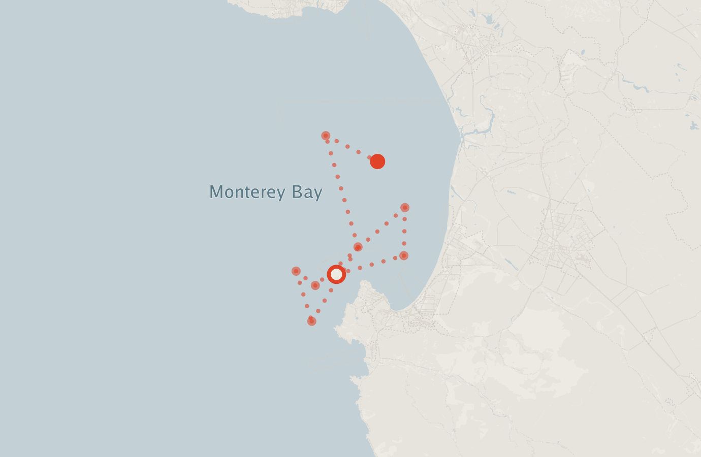 Activity map — real sighting points on an OpenStreetMap basemap