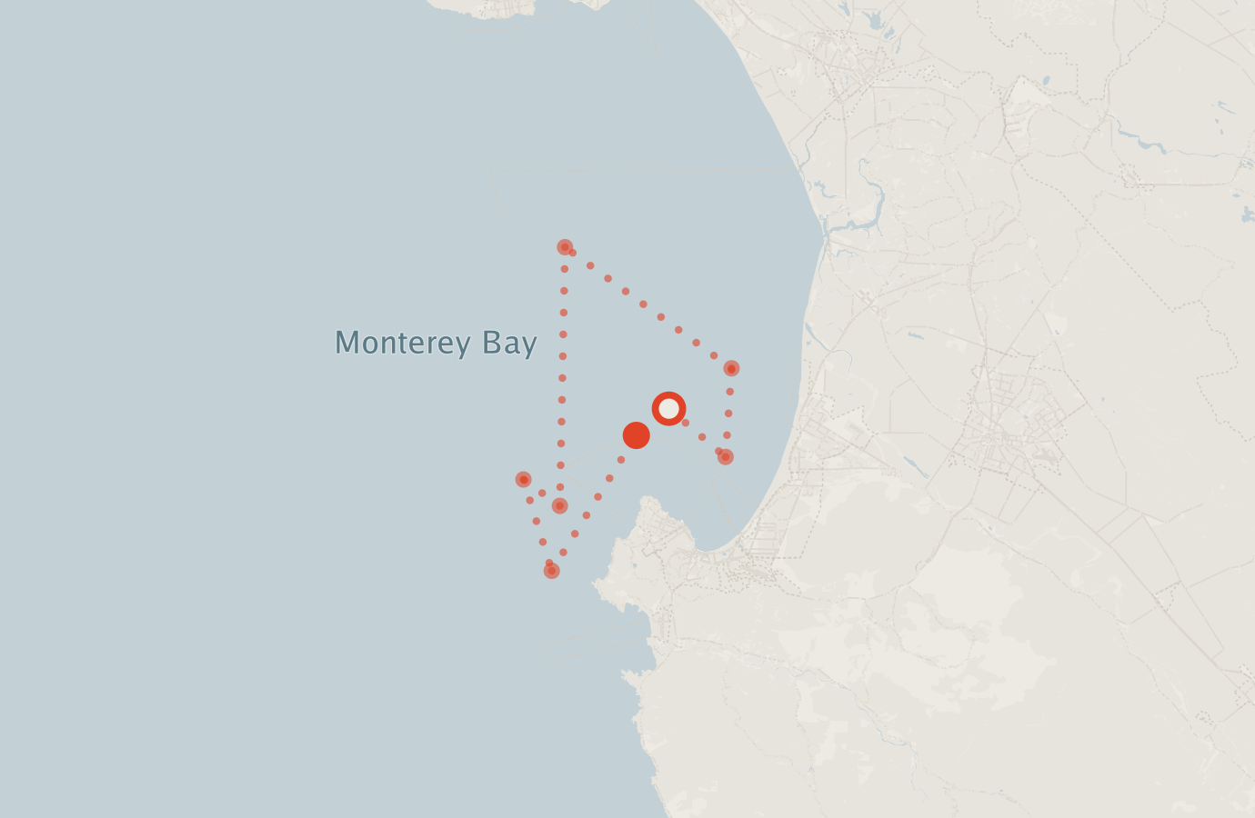 Activity map — real sighting points on an OpenStreetMap basemap